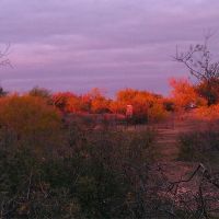 Spectacular year round lease located on Colorado River. Trophy managed for 7 years. Perfect family r