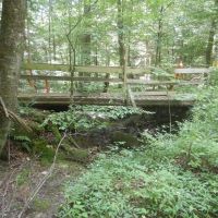 Beaver Dams Beauty images 2