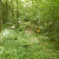 Beaver Dams Beauty images 3