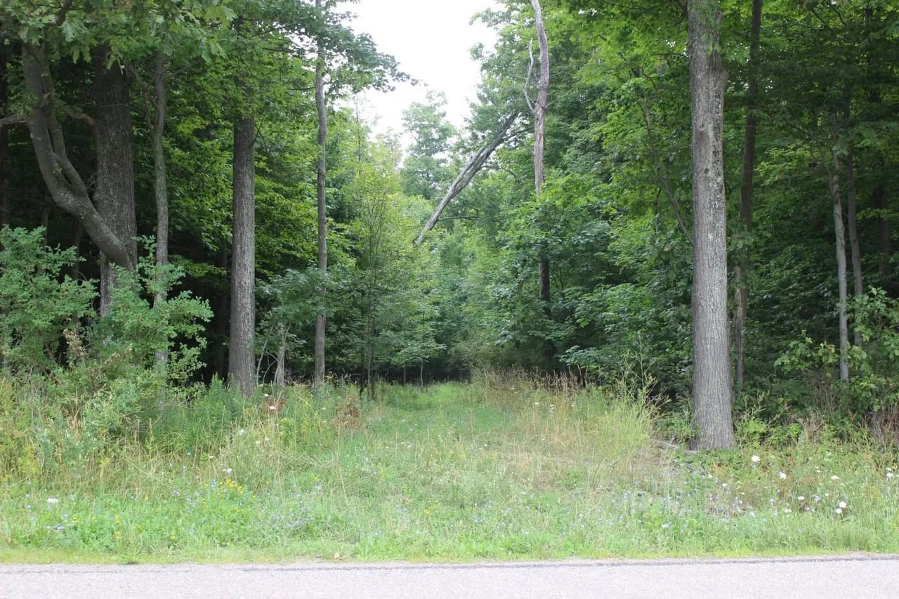 Deer Haven Hunting Land for Sale