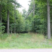 Deer Haven