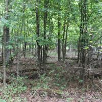 Deer Haven images 2