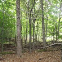 Deer Haven images 4