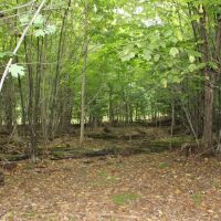 Deer Haven images 5