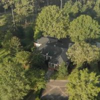 Pine Top images 2