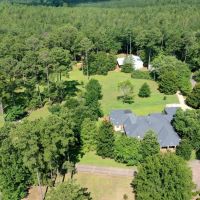 Pine Top images 3