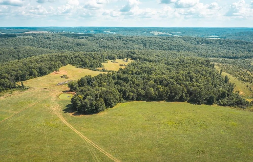 Buehlmann Pastures featured image
