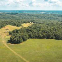 Buehlmann Pastures