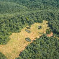Buehlmann Pastures images 3