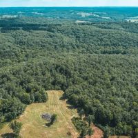Buehlmann Pastures images 4