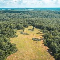 Buehlmann Pastures images 5