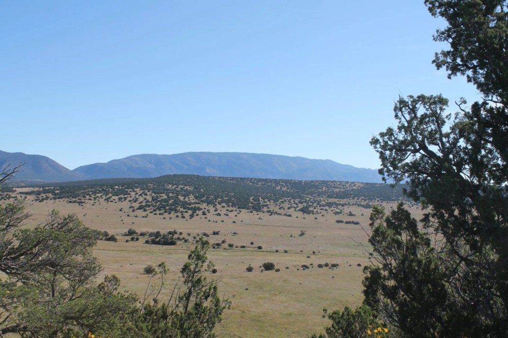 Capitan Mountain Ranch Land featured image