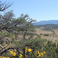 Capitan Mountain Ranch Land images 4