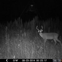 Quail Creek Plantation images 5