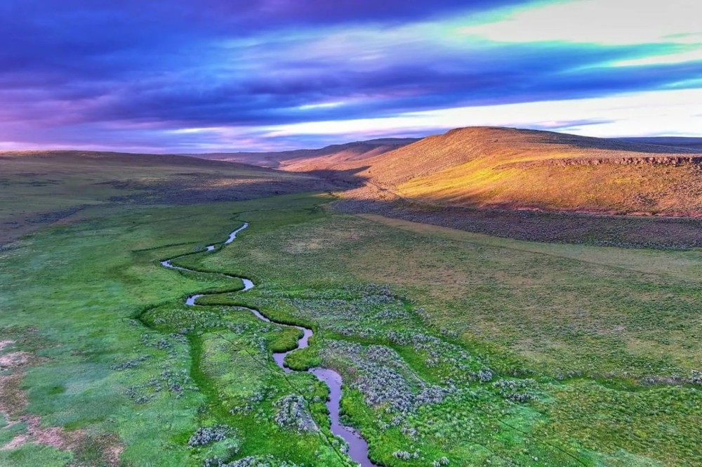Crane Creek Ranch featured image
