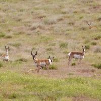 Crane Creek Ranch images 4