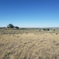 The Dunes Lot 7