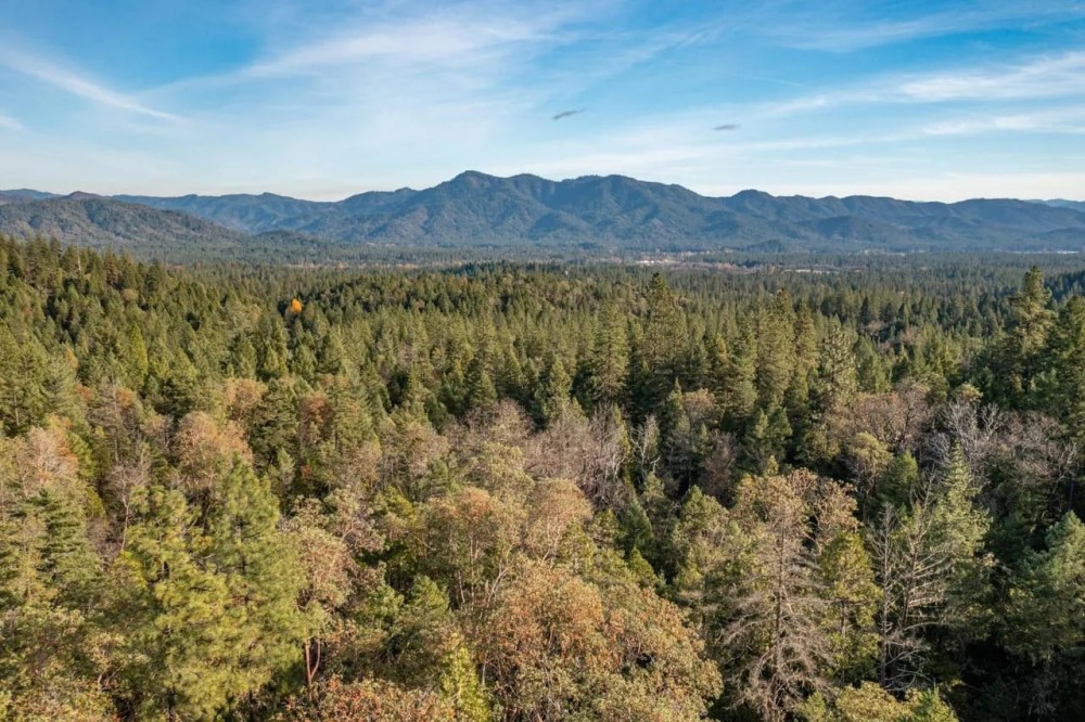 West Evans Creek Road TL205 featured image