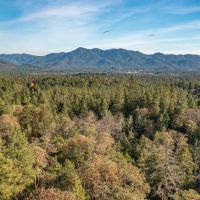 West Evans Creek Road TL205