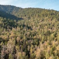 West Evans Creek Road TL205 images 3