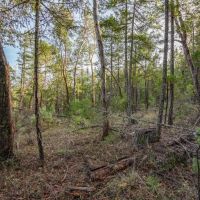 West Evans Creek Road TL205 images 4