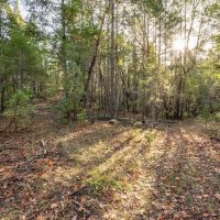 West Evans Creek Road TL205 images 5