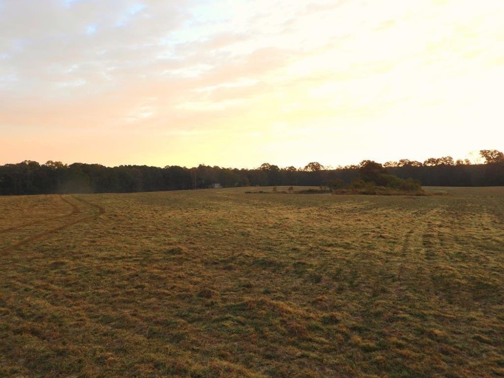 78 Acres Beautiful Pastureland for Sale Amite County MS featured image