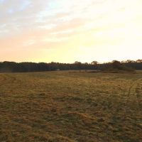 78 Acres Beautiful Pastureland for Sale Amite County MS