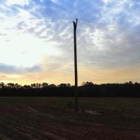 78 Acres Beautiful Pastureland for Sale Amite County MS images 2