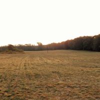 78 Acres Beautiful Pastureland for Sale Amite County MS images 3