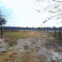 78 Acres Beautiful Pastureland for Sale Amite County MS images 4