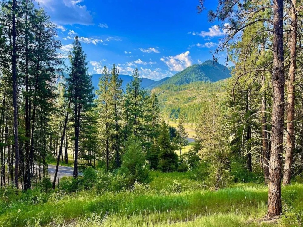 The Timbers at Thompson Ranch Lot 5 featured image