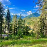 The Timbers at Thompson Ranch Lot 5