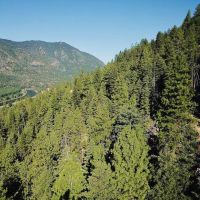The Timbers at Thompson Ranch Lot 5 images 4