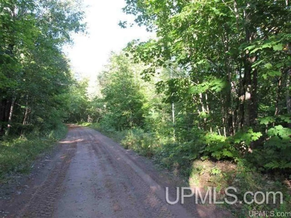 Michigan Wooded Recreational 80A 50090796 featured image