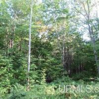 Michigan Wooded Recreational 80A 50090796 images 2