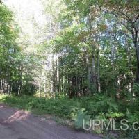 Michigan Wooded Recreational 80A 50090796 images 3