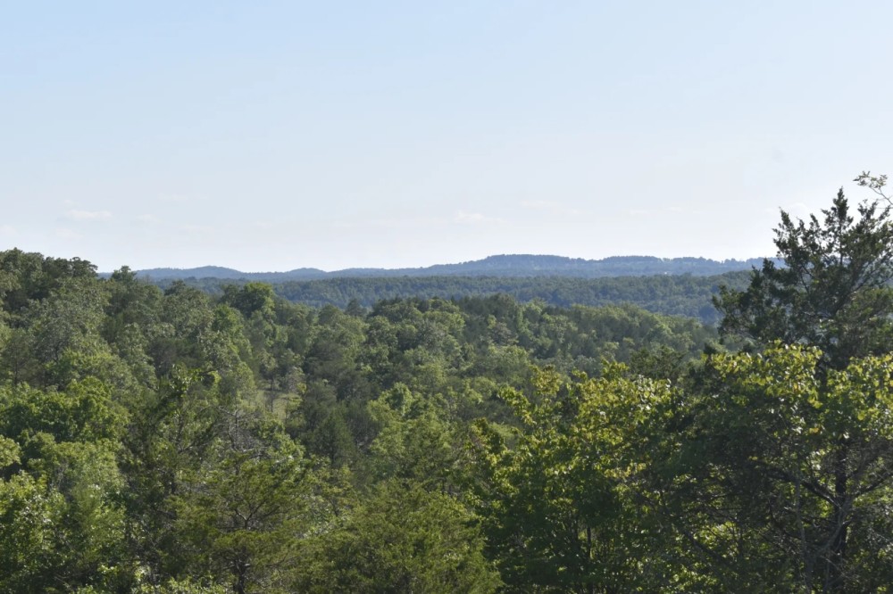 Nature Lovers Retreat In The Ozark Mountains featured image