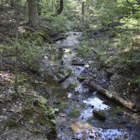 Nature Lovers Retreat In The Ozark Mountains images 2