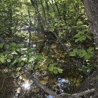 Nature Lovers Retreat In The Ozark Mountains images 4