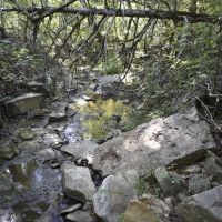 Nature Lovers Retreat In The Ozark Mountains images 5