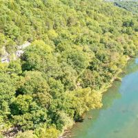370 - Ac. Bobwhite Rd. images 2