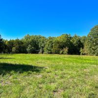 370 - Ac. Bobwhite Rd. images 5