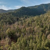 9433 West Evans Creek Road images 2