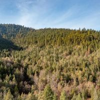 9433 West Evans Creek Road images 3