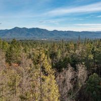 9433 West Evans Creek Road images 4