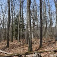 Oak Hill Oasis images 2