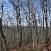 Oak Hill Oasis images 3