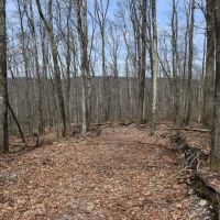 Oak Hill Oasis images 4
