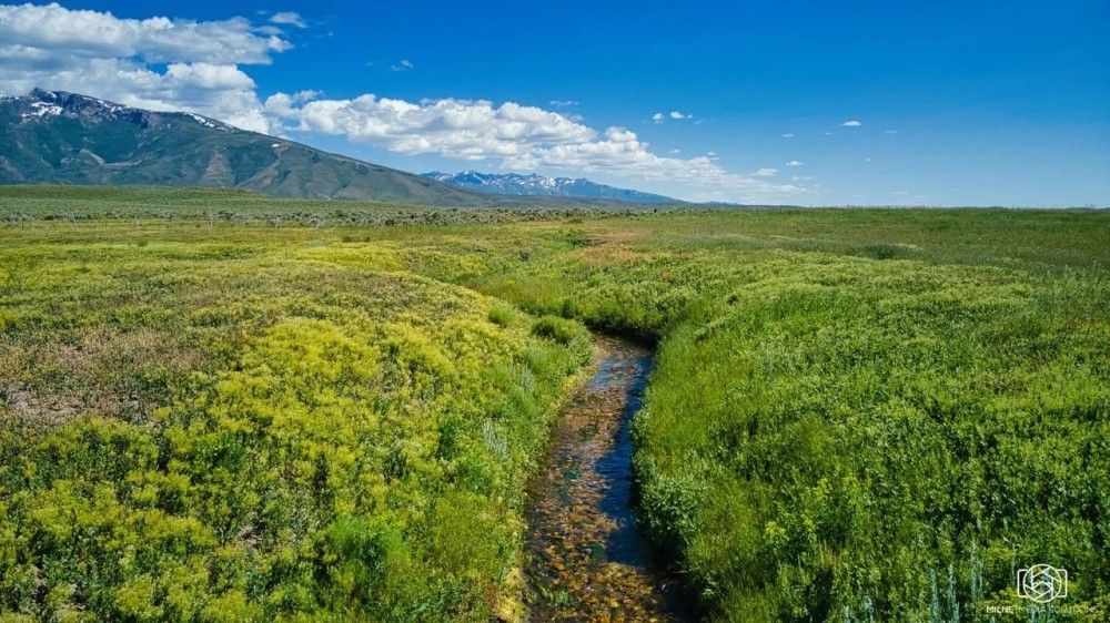 Ruby Mountain Ranch featured image